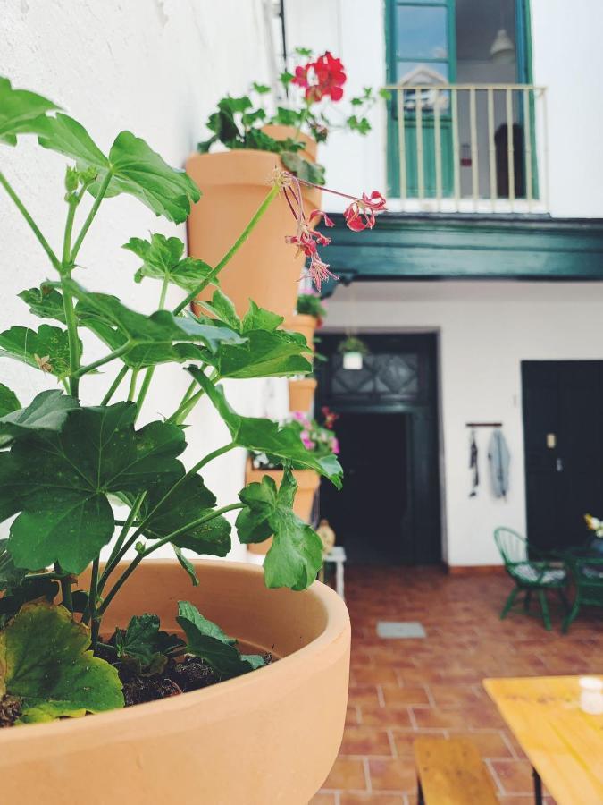 Maria Magdalena - Room 1 Málaga Exterior foto